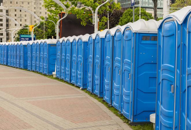 Seasonal porta potty units set up at a Johnson City, Tennessee venue